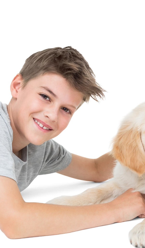 Маленький мальчик с щенком ретривера на белом фоне
