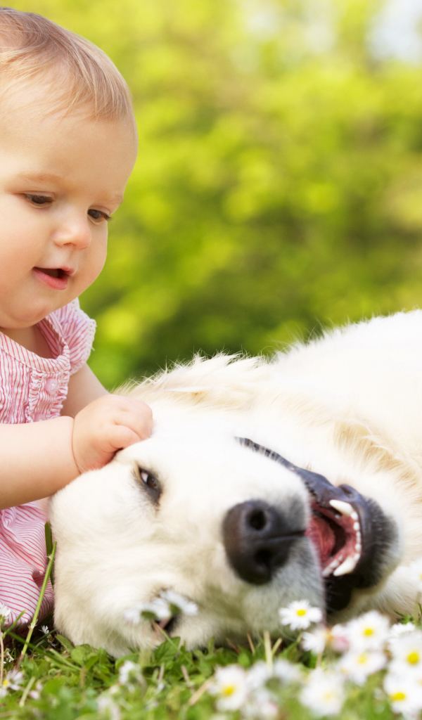 Маленькая милая девочка с большой белой собакой