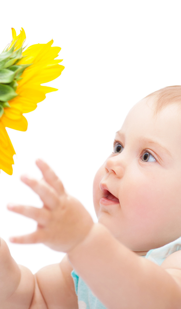 Little cute little girl with a sunflower on a white background