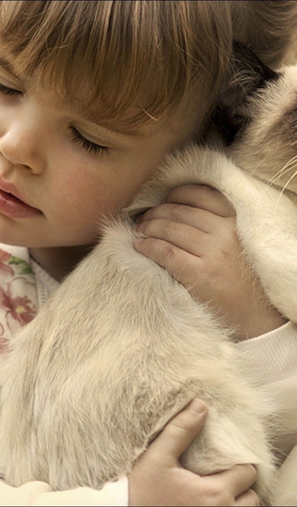 Маленькая девочка обнимает котенка 