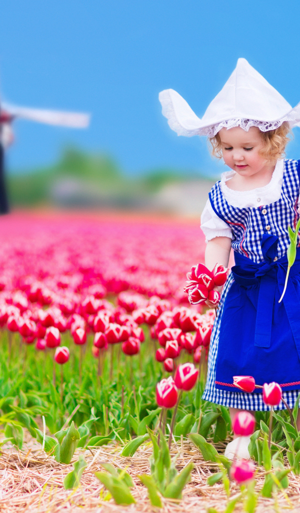 Маленькая девочка в голубом платье на поле тюльпанов 