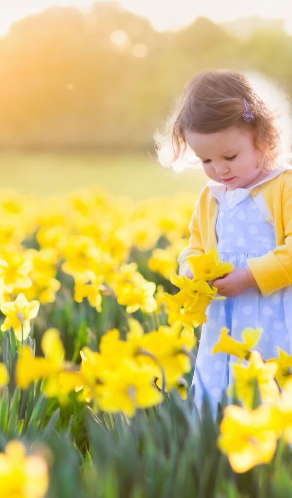Маленькая девочка в поле желтых нарциссов 