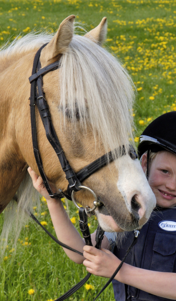 Маленькая девочка в шлеме с лошадью