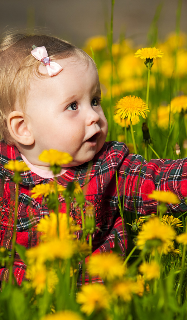 Маленькая девочка сидит в желтых одуванчиках