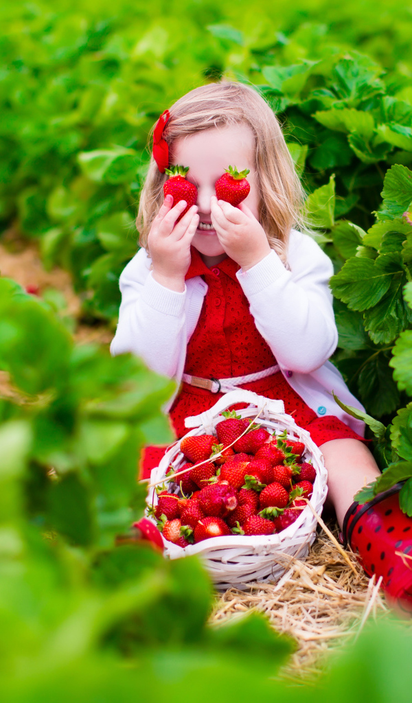Маленькая девочка сидит на грядке с красной клубникой