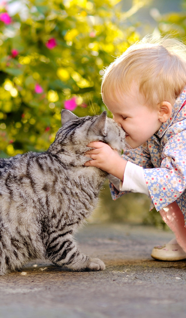 Маленькая девочка целует серого кота