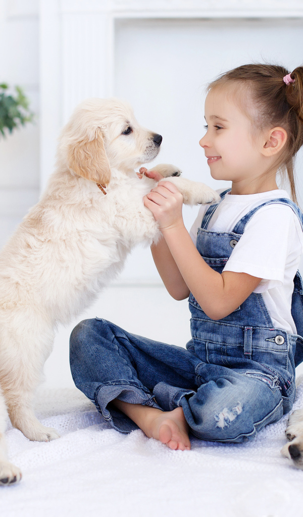 Маленькая девочка играет со щенками золотистого ретривера