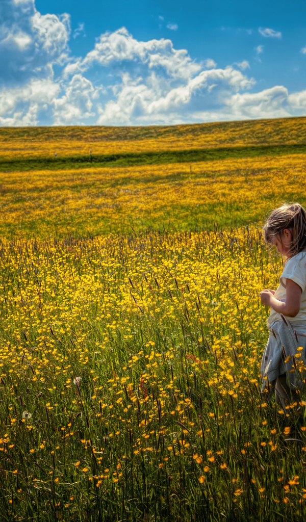 Маленькая девочка гуляет по полю с желтыми цветами
