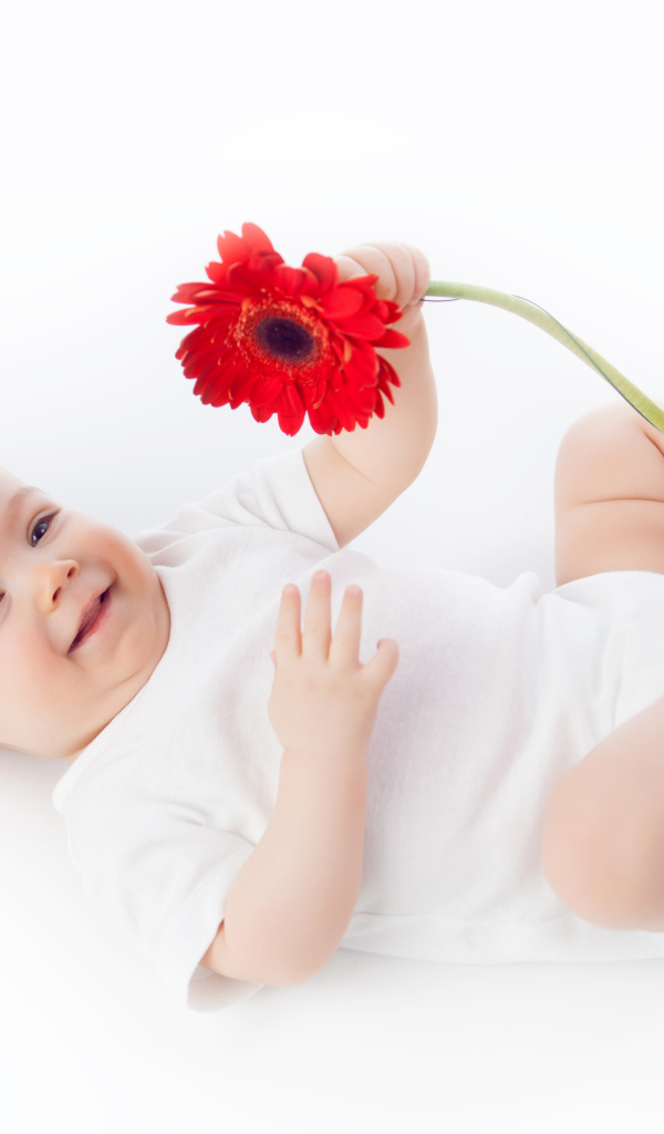 Улыбающийся младенец с цветком красной герберы на белом фоне