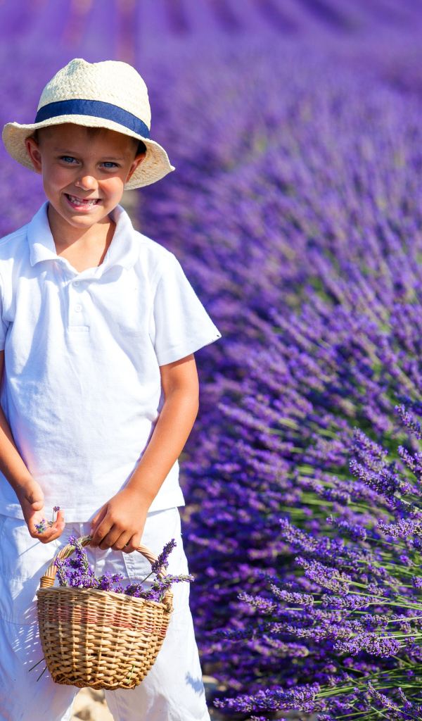 Улыбающийся мальчик на поле фиолетовой лаванды