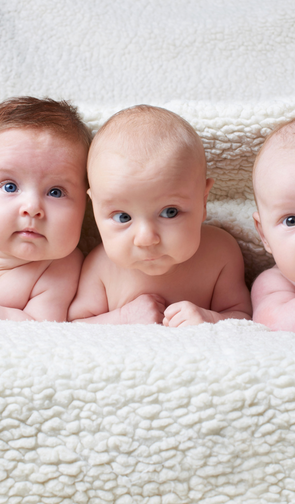 Три младенца лежат под одеялом