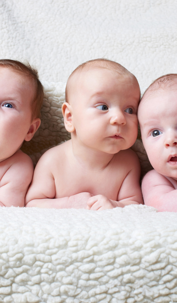 Три младенца под белым теплым одеялом