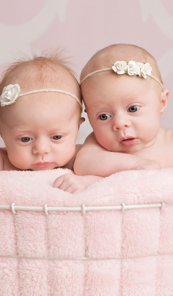 Два младенца близнеца девочки в корзине