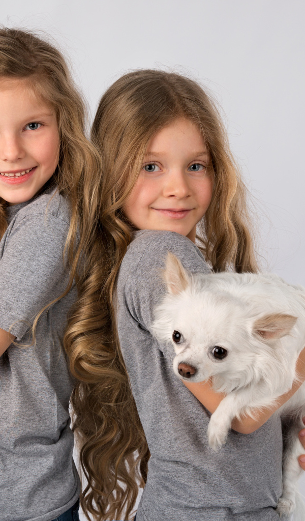 Две маленькие девочки с собачками на руках на сером фоне