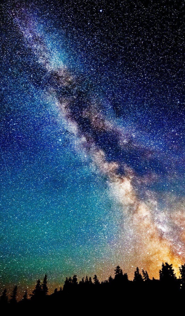 Млечный путь в звездном небе над лесом 