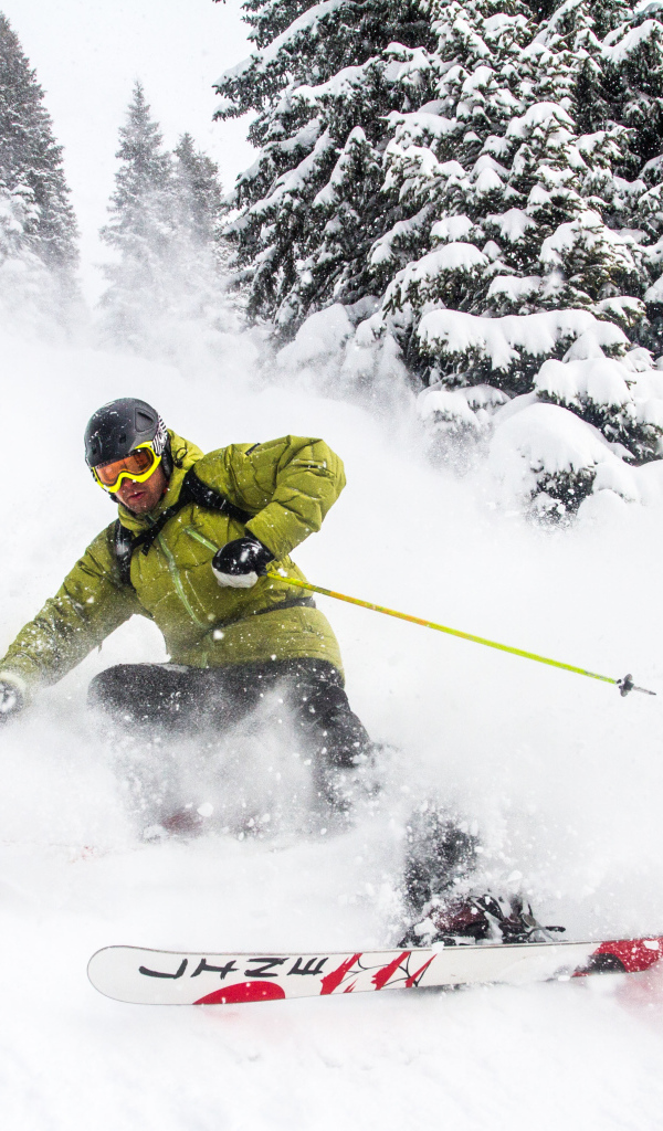 Спортсмен лыжник спускается по заснеженному склону