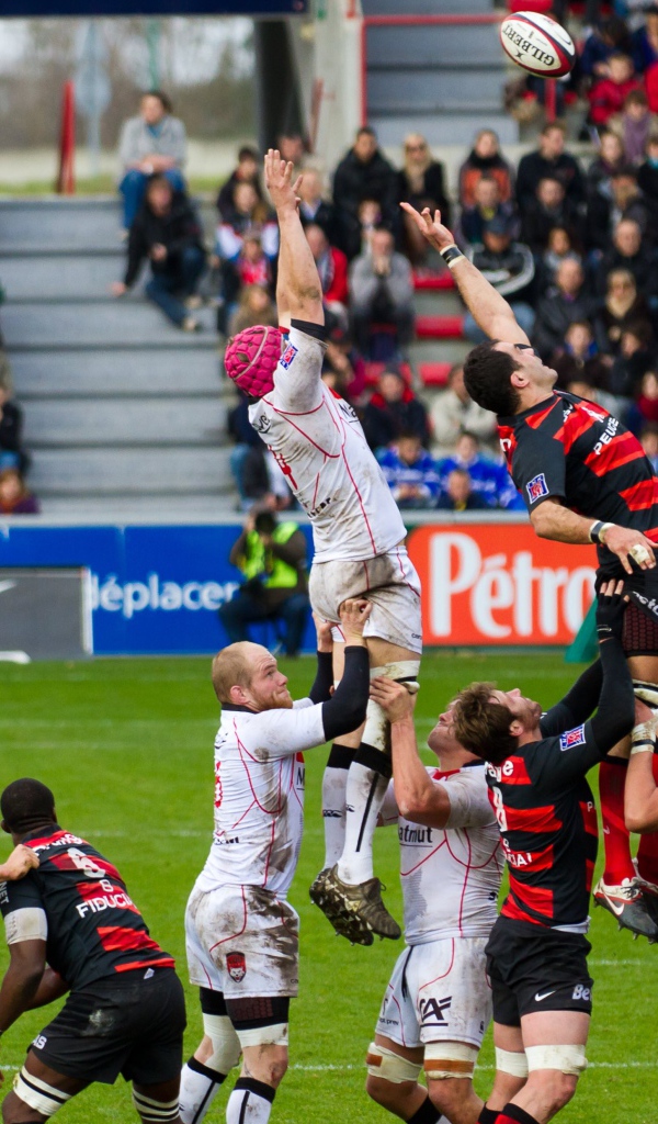 Игра команд по регби на стадионе 