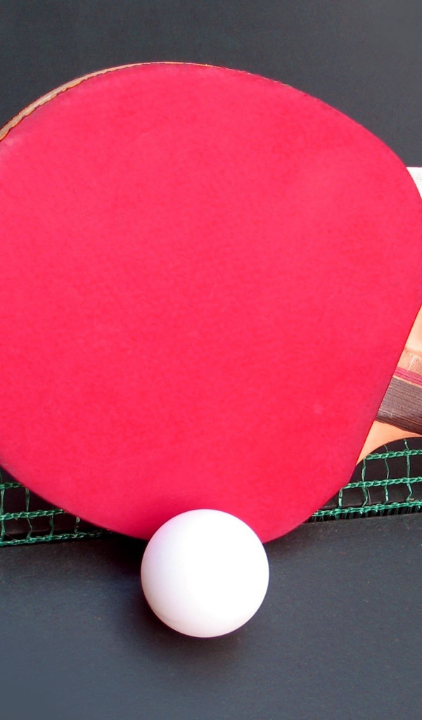 Красная ракетка для настольного тенниса у сетки 