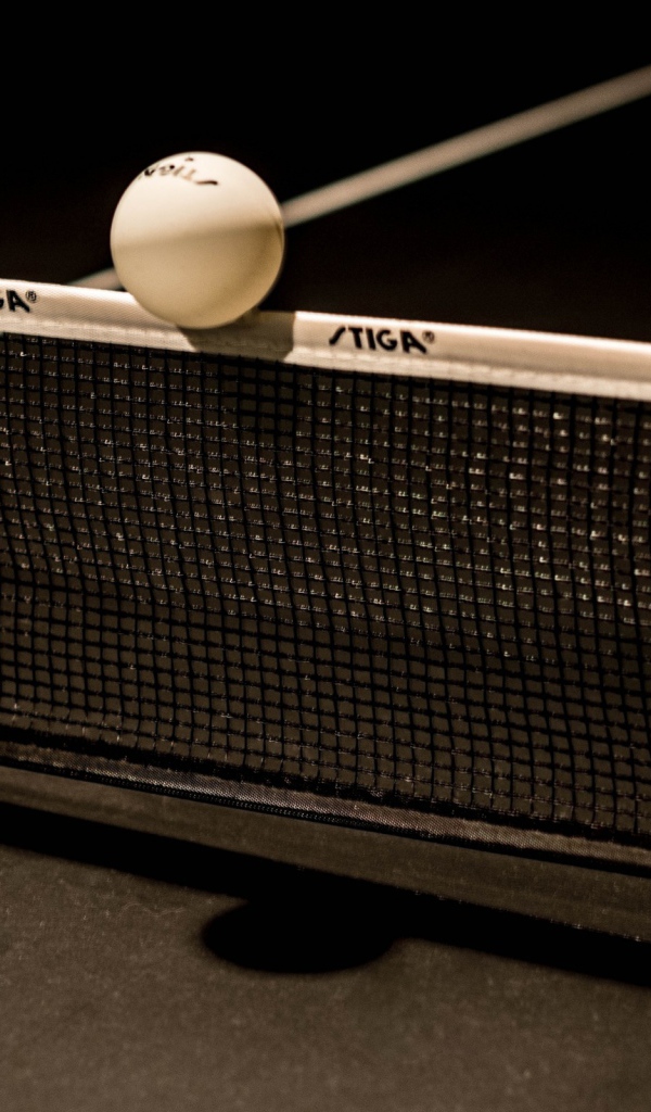 Мяч для настольного тенниса на сетке 