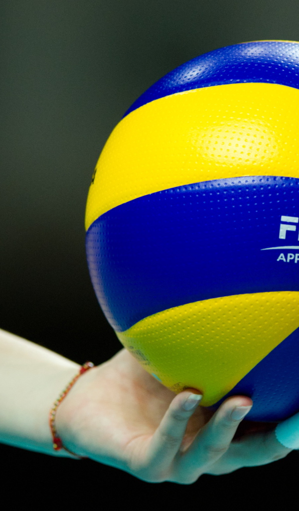 Волейбольный мяч на руке 
