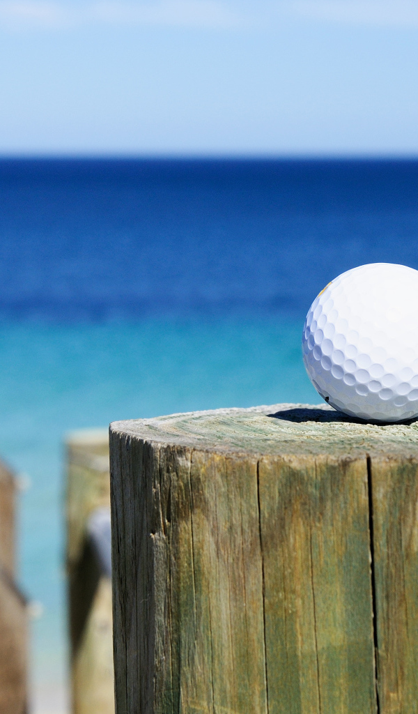 Белый мячик для гольфа лежит на бревне крупным планом