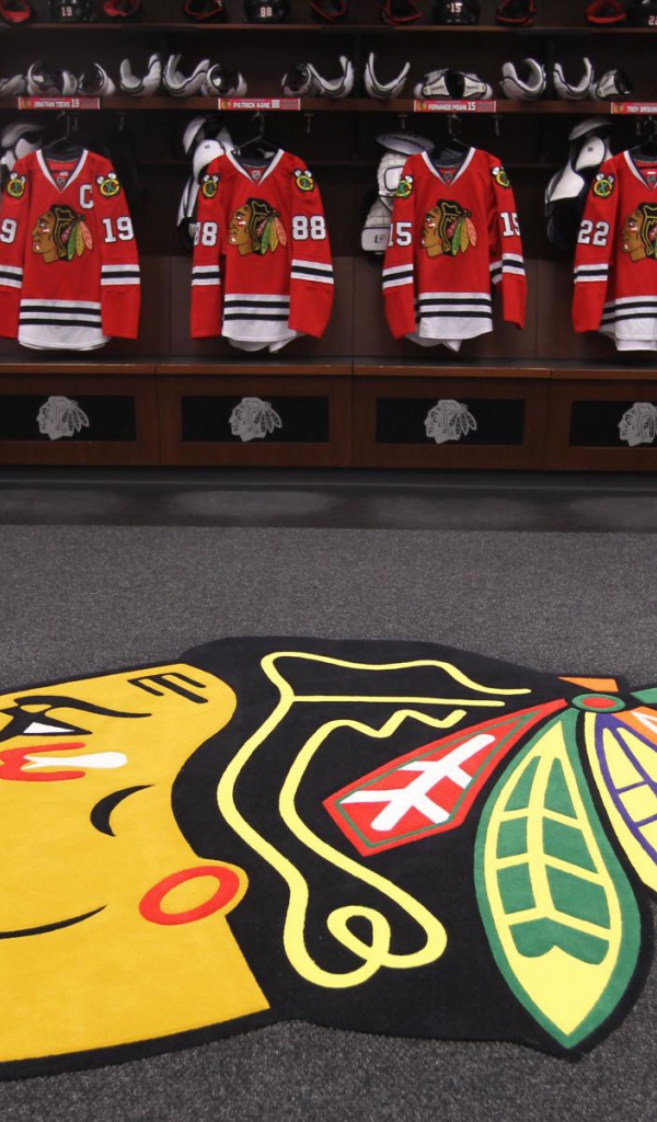 Американский хоккейный клуб Чикаго блэкхокс, логотип и форма 