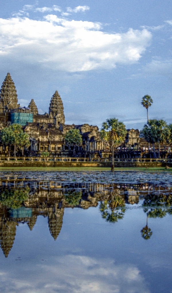 Ангкор Ват отражается в пруду лотосов 