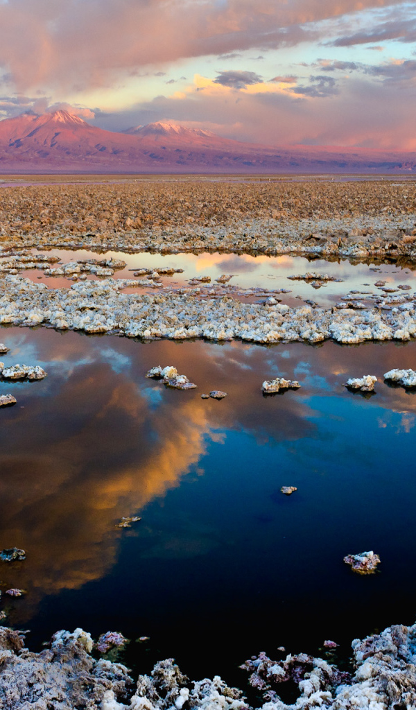 Красивый солончак Салар-де-Атакама в пустыне Атакама, Чили 