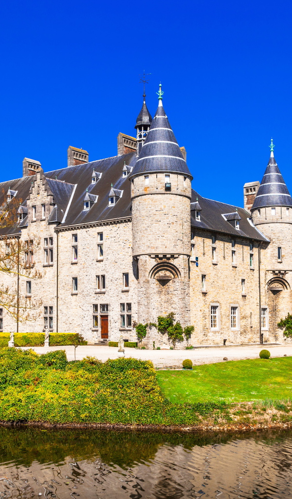 Замок в Борне у пруда, Бельгия 