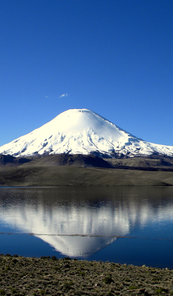 Озеро Чунгара на фоне заснеженной вершины вулкана Сахама, Чили 