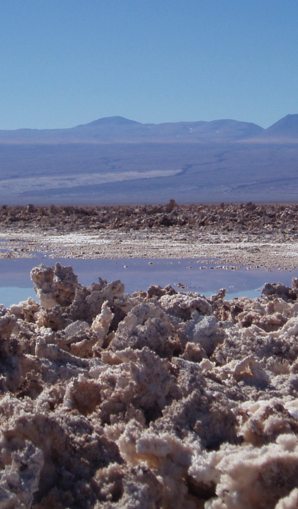 Солончак Салар-де-Атакама, Чили 