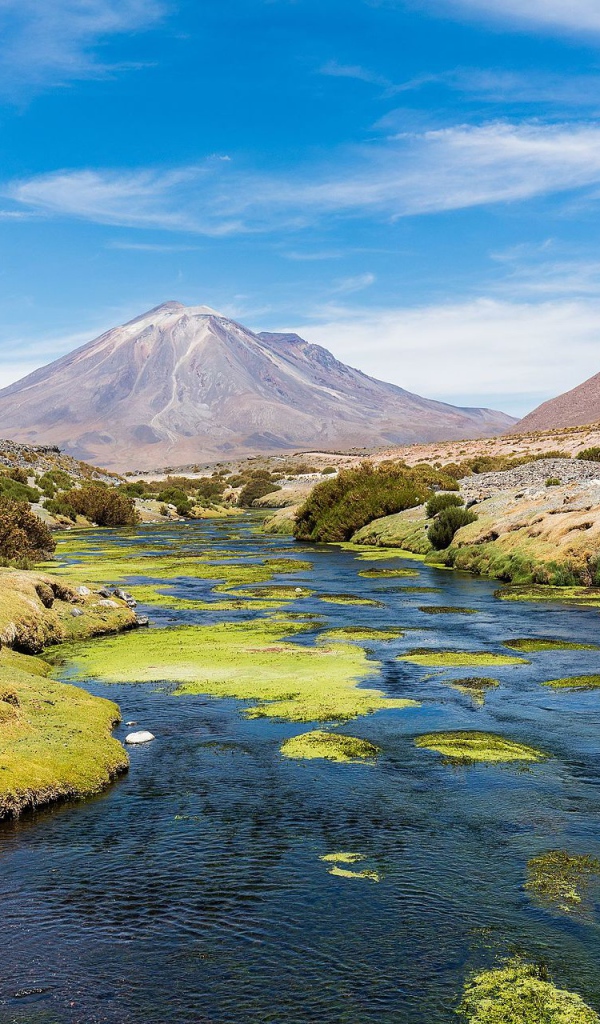Stratovolcano paneer and mountain river on a background of blue sky, Chile
