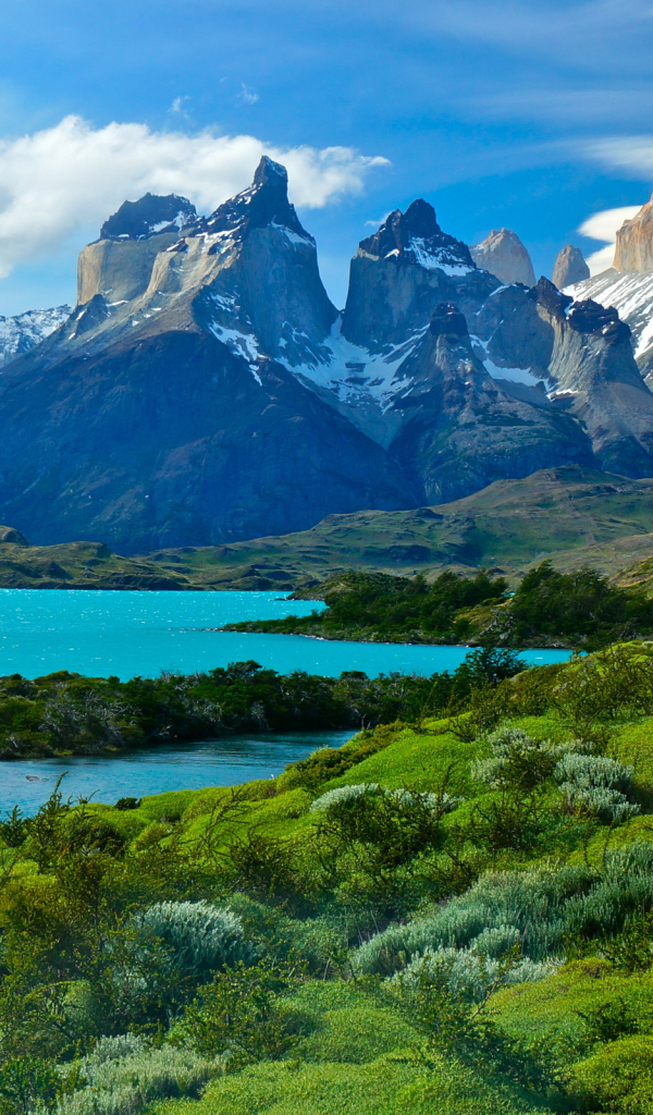 Живописный национальный парк Торрес-дель-Пайне, Патагония, Чили 