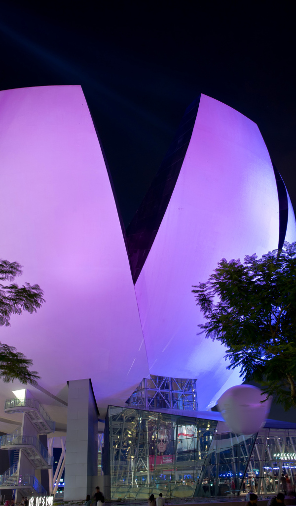 Необычное фиолетовое здание ночью, Сингапур 