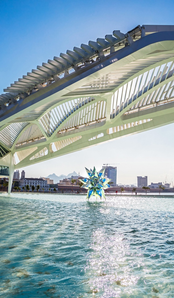 Необычная архитектура здания бассейна, Рио-Де-Жанейро