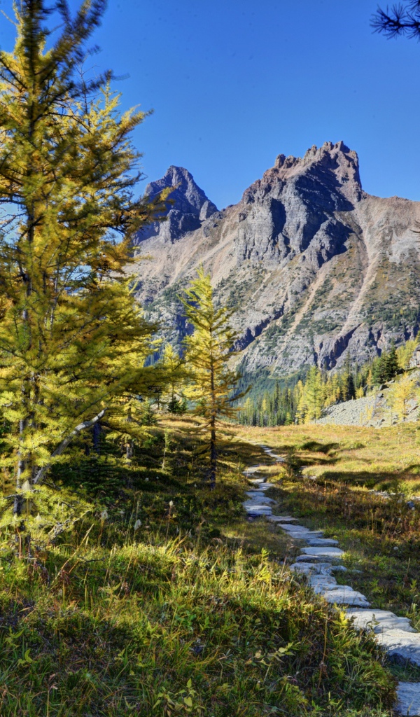 Пейзаж в живописном национальном парке Йохо, Канада 