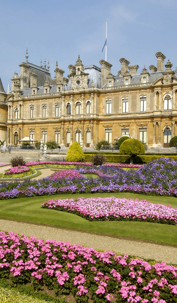 Цветущие цветы у поместья Уоддесдон, Англия 