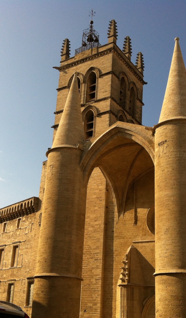 Кафедральный собор Сен-Пьер, Франция 