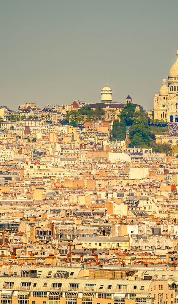 Панорама города Париж, католический храм Базилика Сакре-Кёр, Франция 