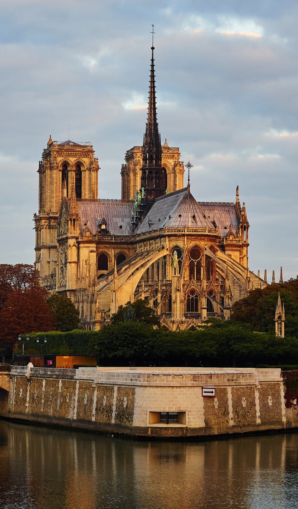 Вид на Собор Парижской Богоматери у воды, Франция