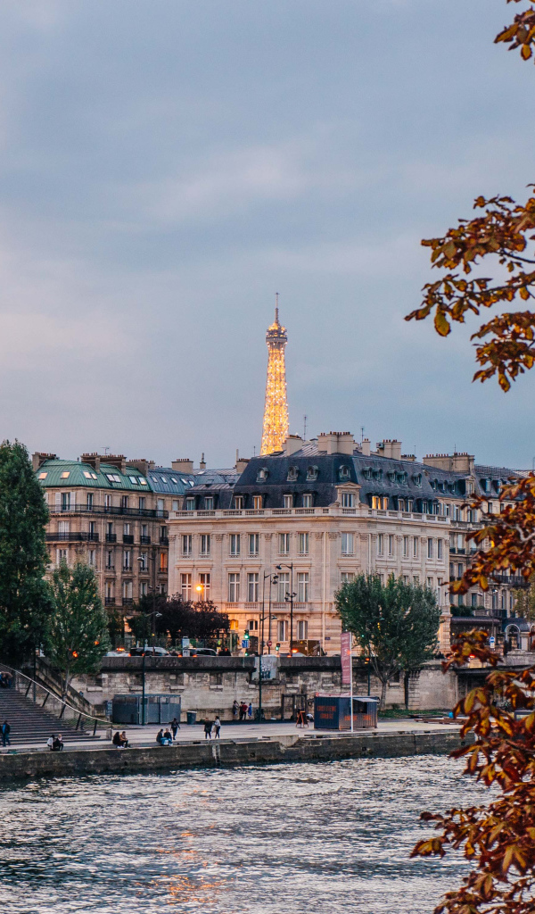 Вид на дома на набережной, Париж. Франция 