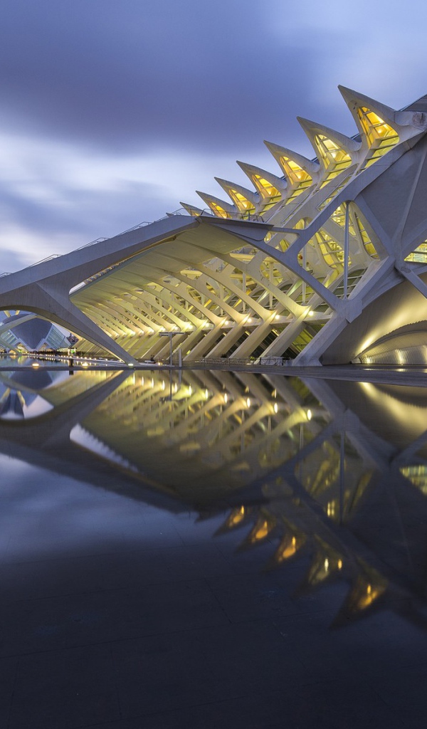 Музей наук принца Фелипе город Валенсия, Италия 