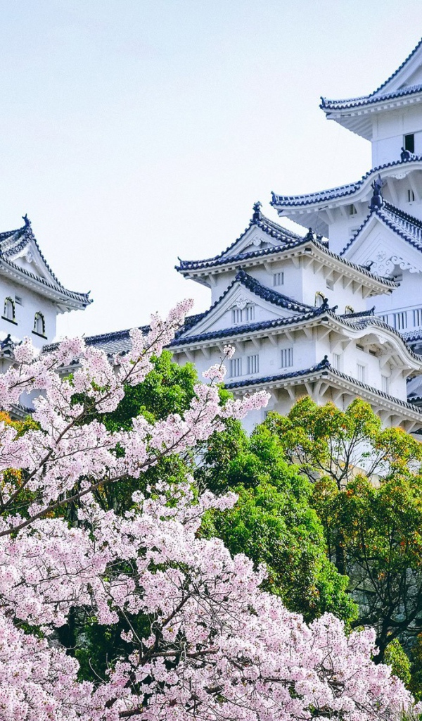 Древнейший замок Химэдзи в садах цветущей сакуры, Япония 