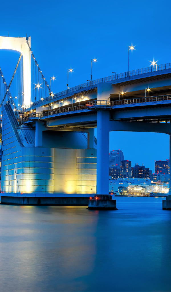 Большой красивый мост вечером, Токио. Япония