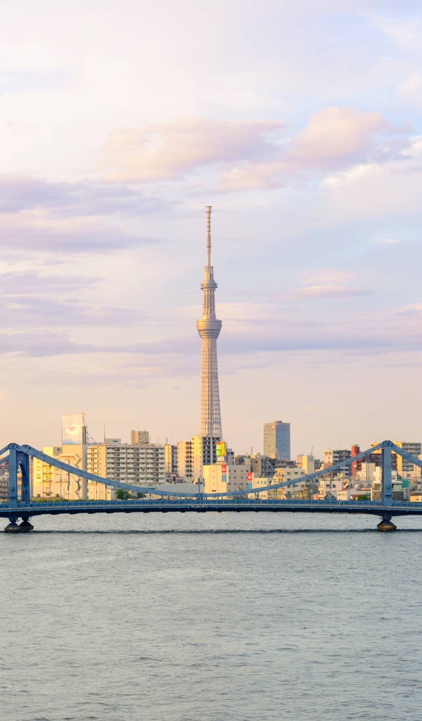 Панорама города Токио на фоне реки, Япония