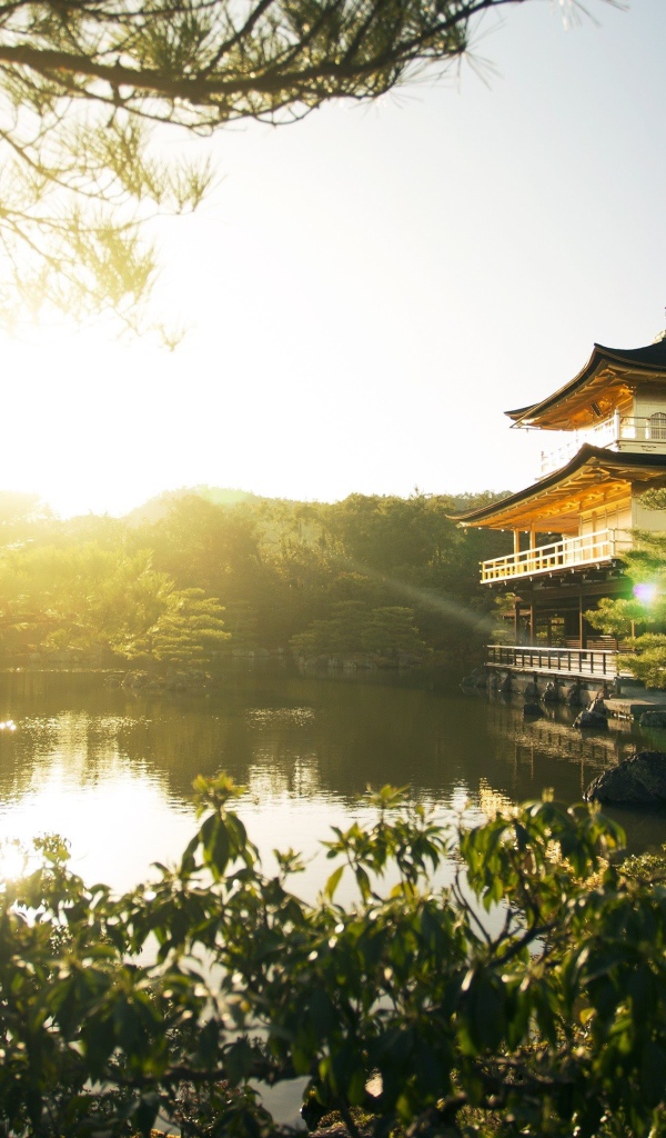 Пруд на рассвете, Япония 