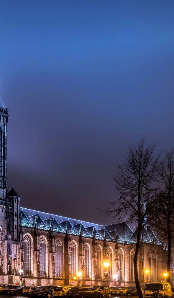 Храм в свете фонарей на ночной улице в городе Девентер, Нидерланды