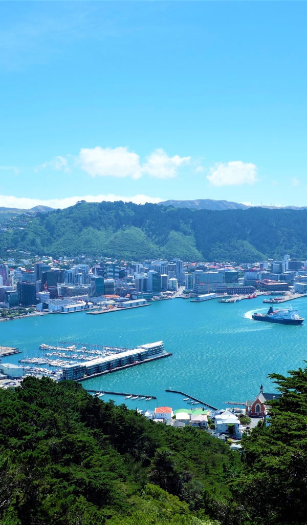 Панорама города Веллингтон, Новая Зеландия 