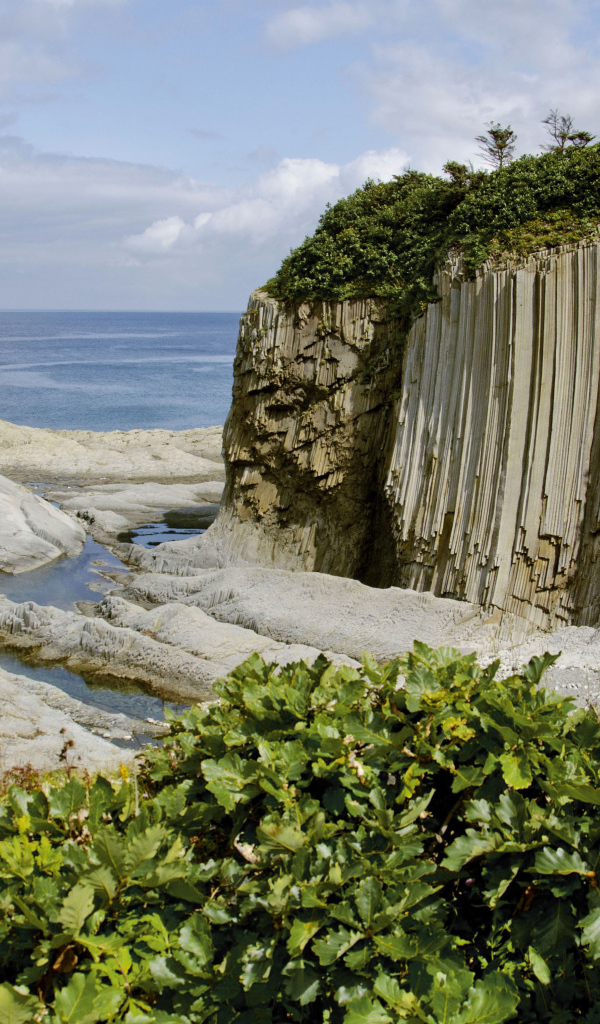 Мыс Столбчатый, Курильские острова. Россия 