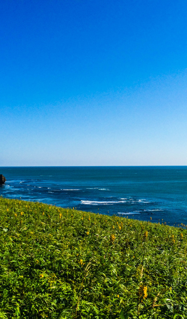 Вид на море хребет Жданко, Сахалин. Россия 